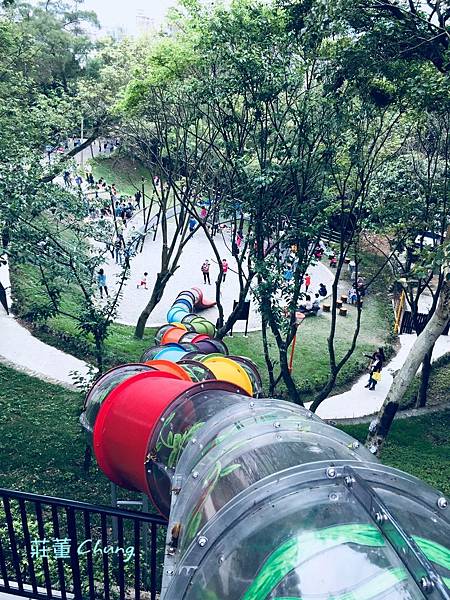 新北特色公園【中山公園】挑戰療癒森林裡的彩色水管滑梯+跑酷棧