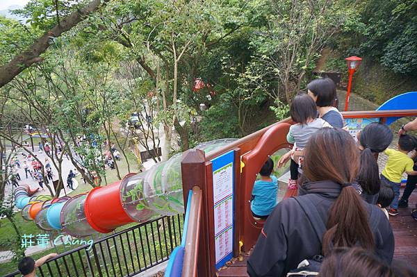 新北市特色親子公園：<三峽公園>來中山公園挑戰:療癒森林的"彩色水管滑梯"