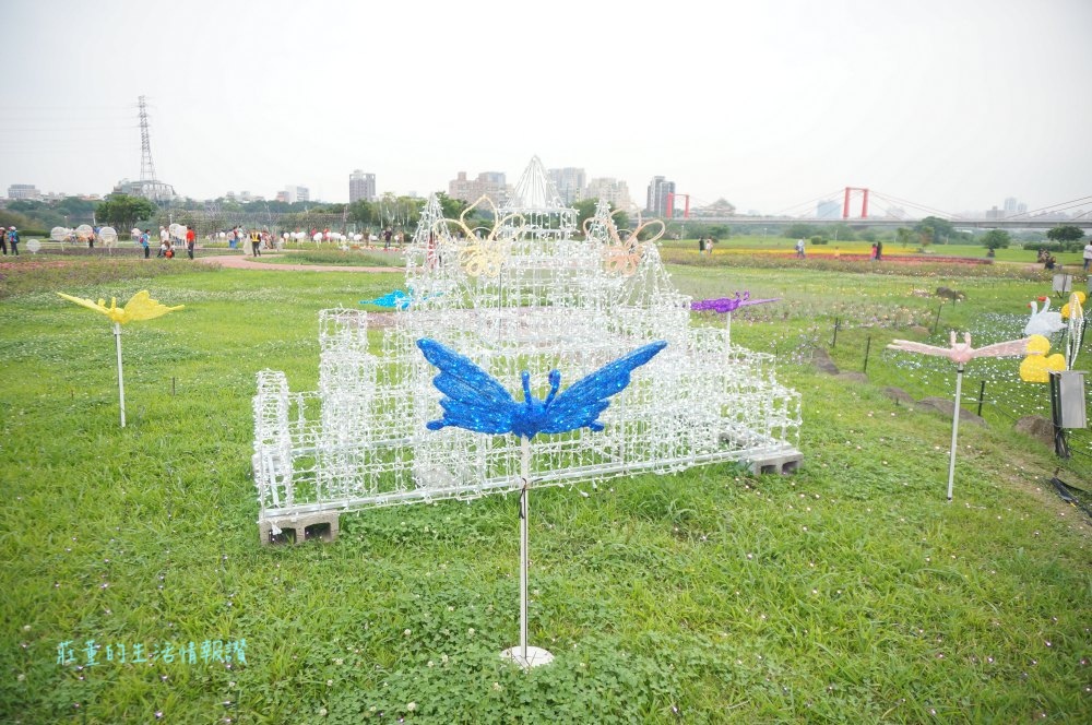 新北市景點推薦:季節限定~2019板橋蝴蝶公園~浪漫地景花海 新北市景點推薦:季節限定~2019板橋蝴蝶公園~浪漫地景花海