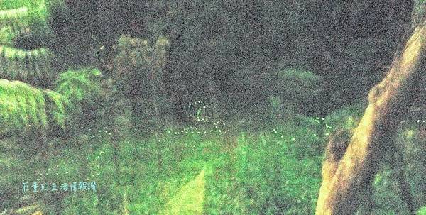 20190421_190314-1.jpg 20190421_190314-1.jpg