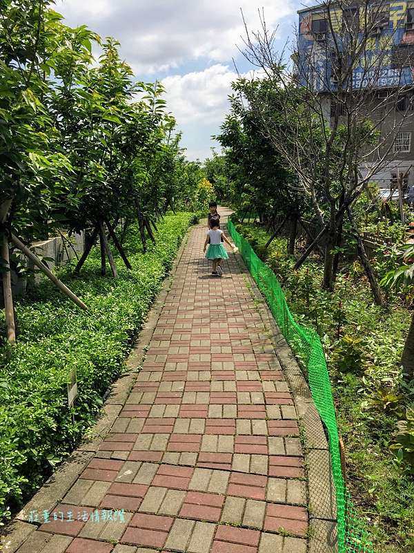 19夏日的泰山黎明步道花園 城市裡的繡球花 向日葵一起盛開了在泰山步道花園 莊董的生活情報讚 痞客邦