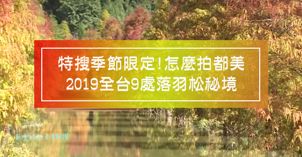 落羽松季節限定!怎麼拍都美㊙️2019全台9處落羽松秘境就在..(追加中)