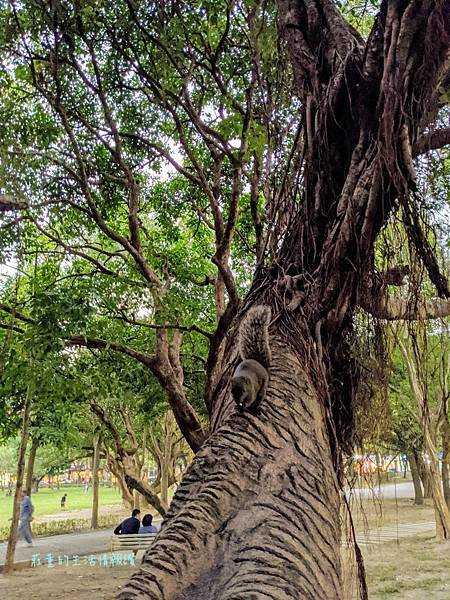 【中和八二三紀念公園】如何餵小松鼠？親子遊4號公園 (新北中