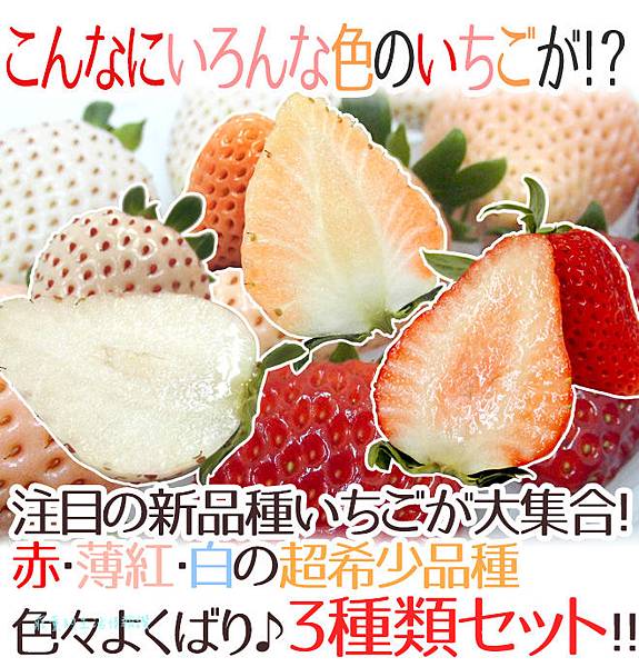 草莓三原色草莓(珍珠白、雪花、古都華)