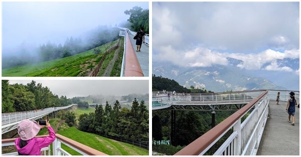 【南投埔里住宿 暨大行旅】遇見超美黃金雨阿勃勒! 穿越時光的