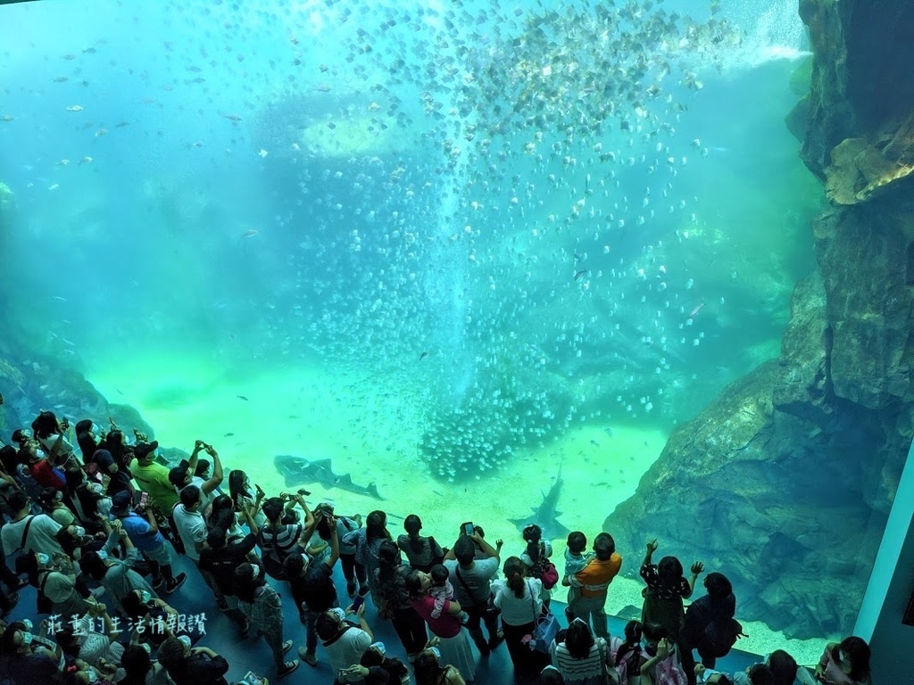 【青埔Xpark水族館後場探險】探索桃園水族館的秘密! (X