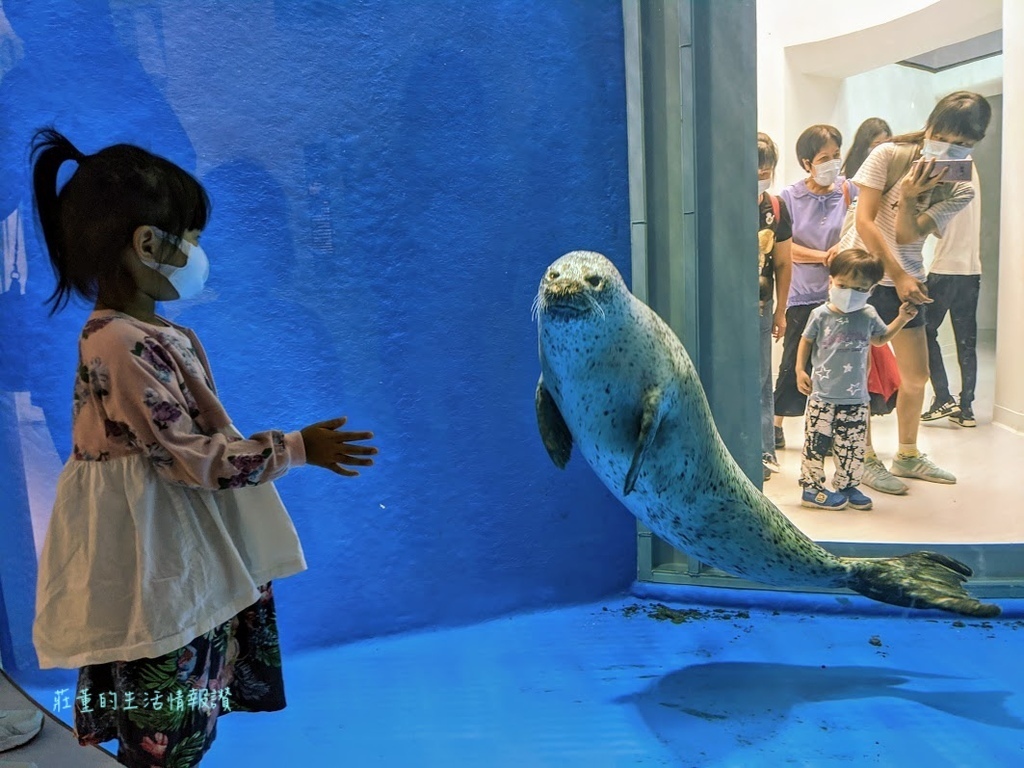 【青埔Xpark水族館後場探險】探索桃園水族館的秘密! (X