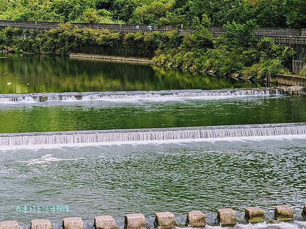 坪林親水吊橋 (5).jpg