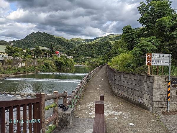 坪林親水吊橋 (8).jpg