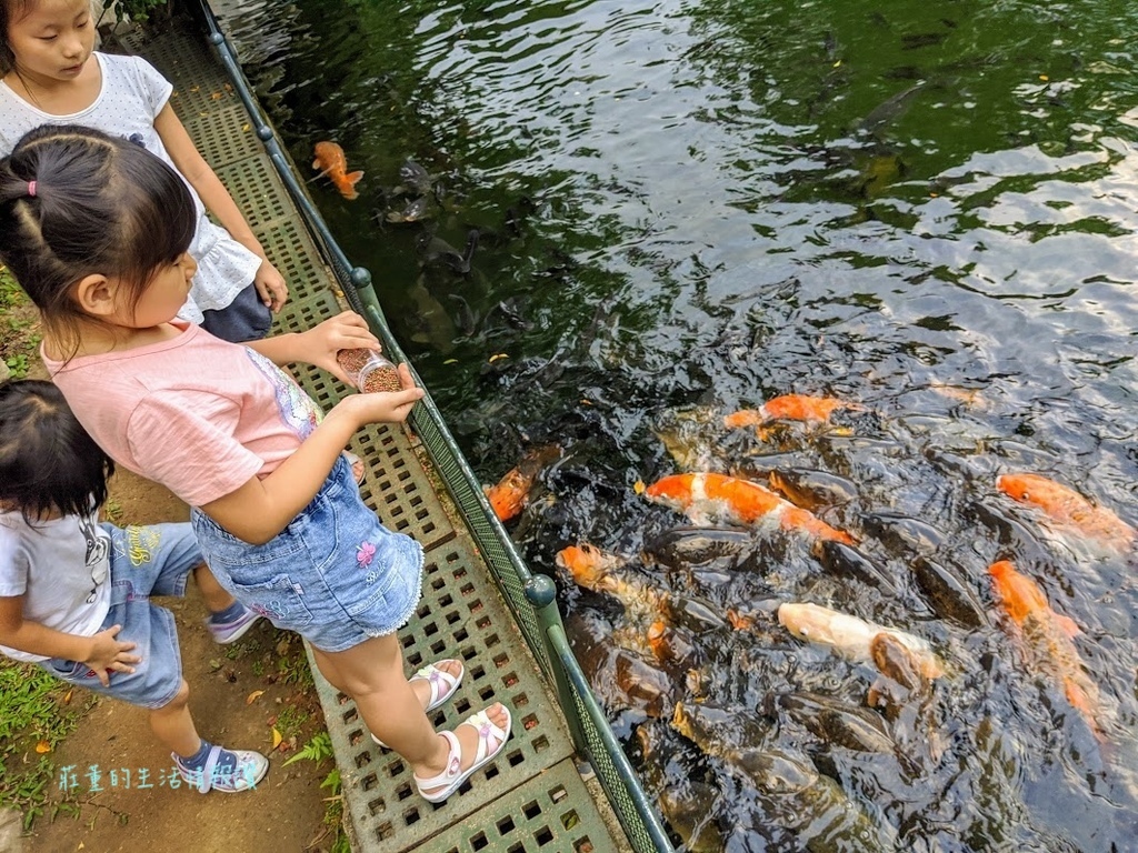 至善園 餵魚