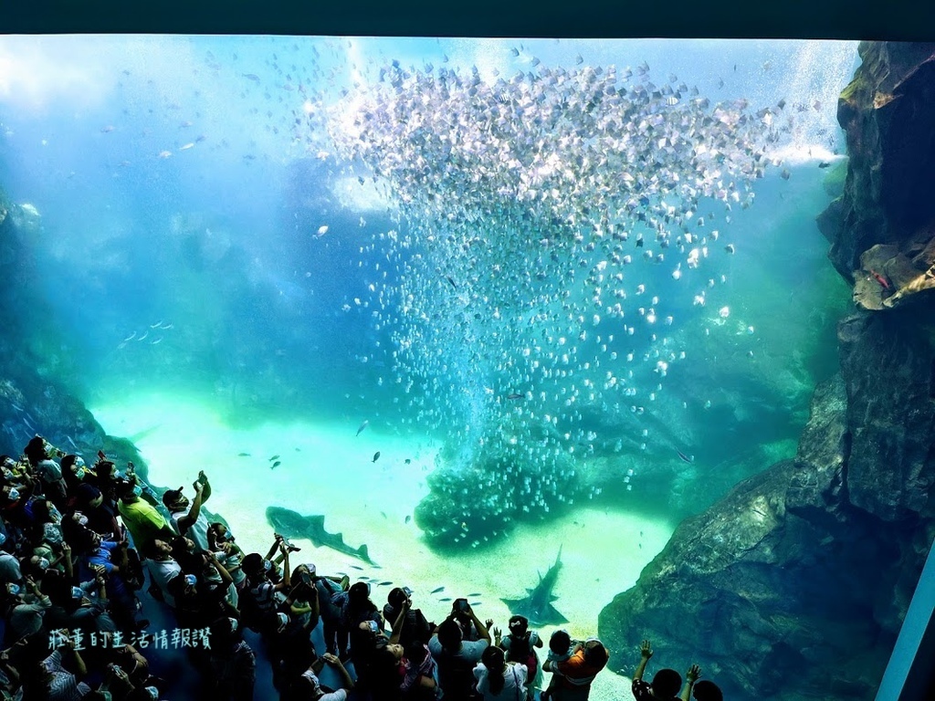 桃園水族館Xpark一日遊★中壢青埔周邊景點7處推薦!