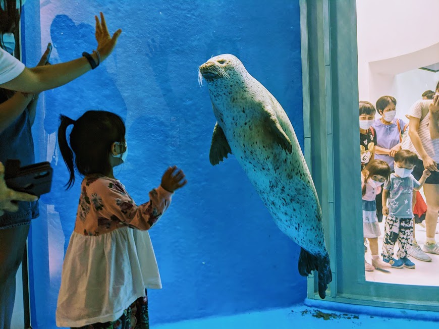 【桃園Xpark水族館】2024最新攻略!必逛展區/如何購票