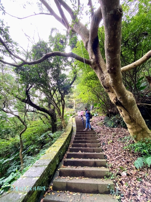 觀音山牛港稜步道 (3).jpg