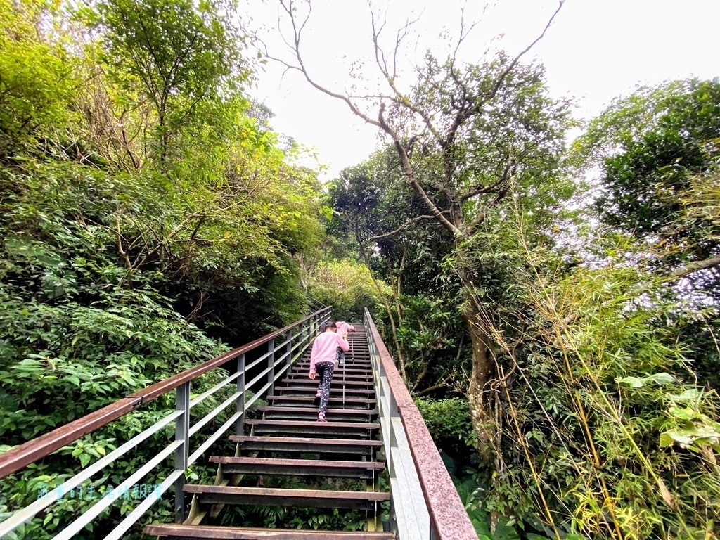 觀音山牛港稜步道 (5).jpg