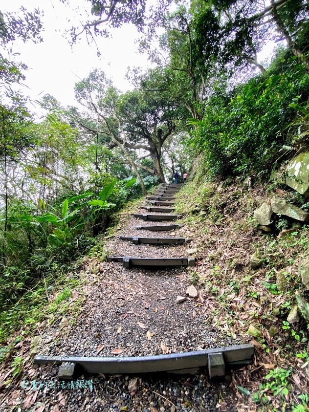 觀音山牛港稜步道 (9).jpg