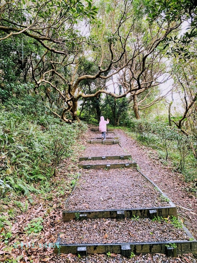 觀音山牛港稜步道 (11).jpg