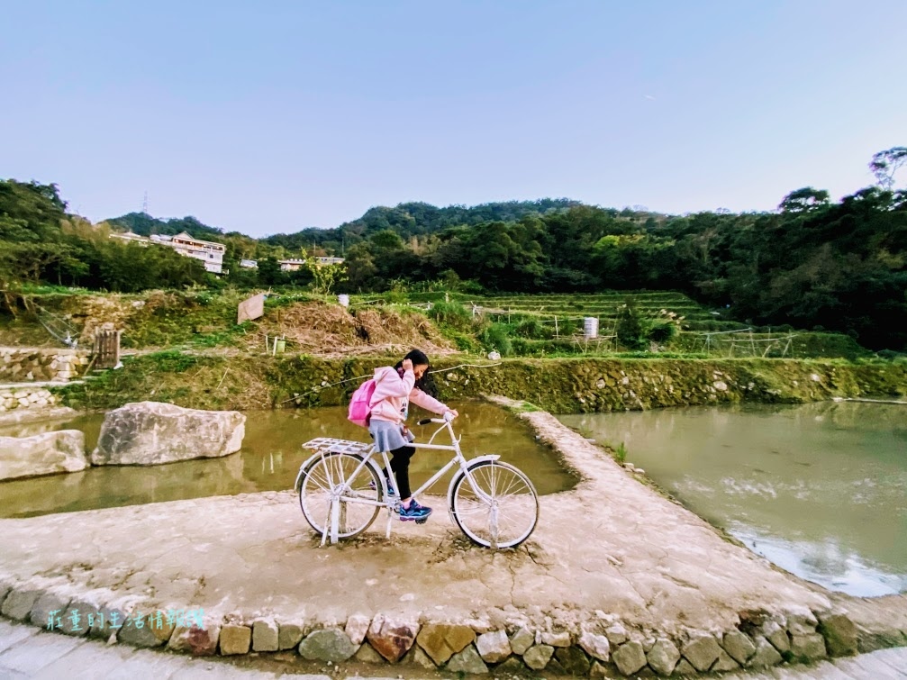 貓空樟樹步道 (10).jpg