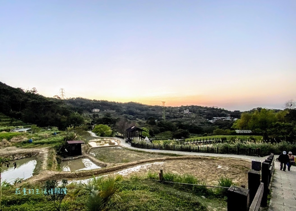 迷人的貓空樟樹步道～季節限定魯冰花海田、寧靜優美的茶園..貓