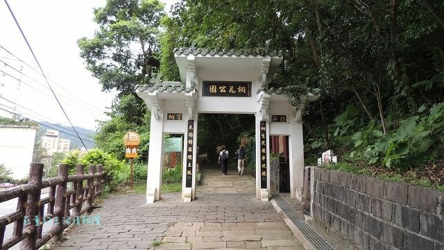 土城景點》【土城桐花公園步道】賞螢火蟲火金姑和五月雪白油