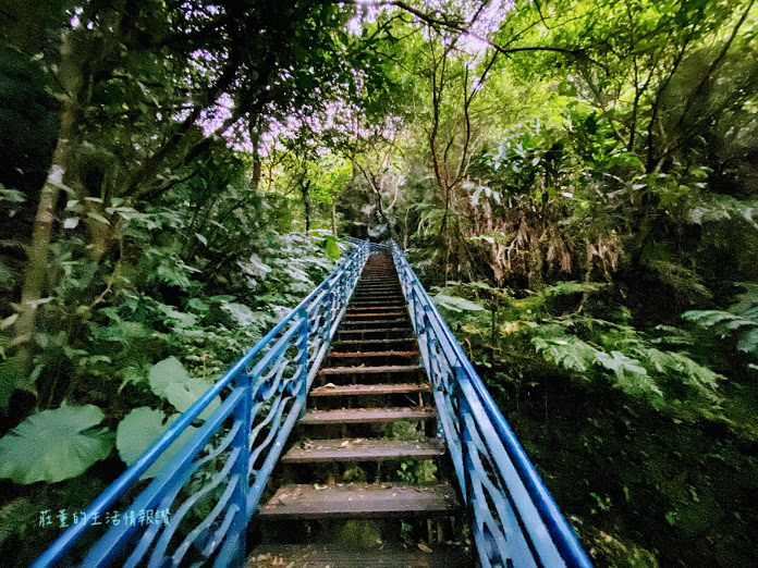 新店 碧潭 和美山步道  (29).jpg