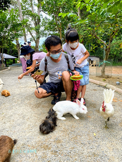 新竹北埔綠世界生態農場一日遊親子必玩 (39).jpg