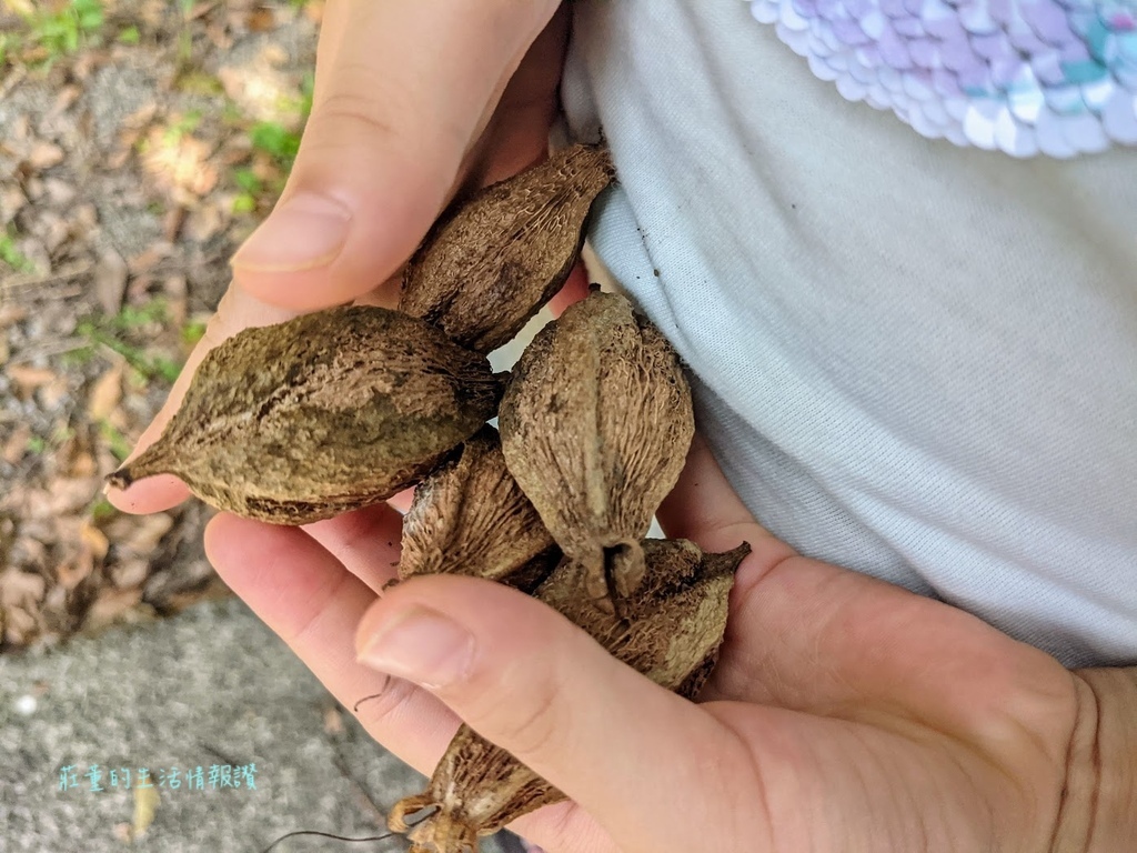 宜蘭馥森里山(北關農場)生態導覽 (11).jpg