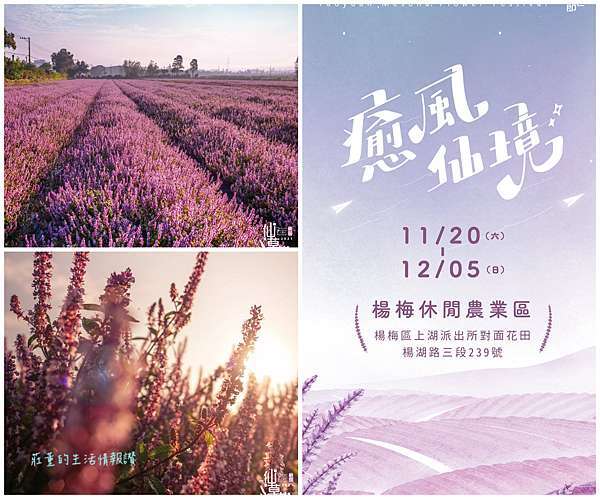 夢幻紫色花海來了 桃園仙草花節21親子一日遊 四處農遊秘境diy體驗 楊梅景點 美食餐廳 莊董的生活情報讚 痞客邦