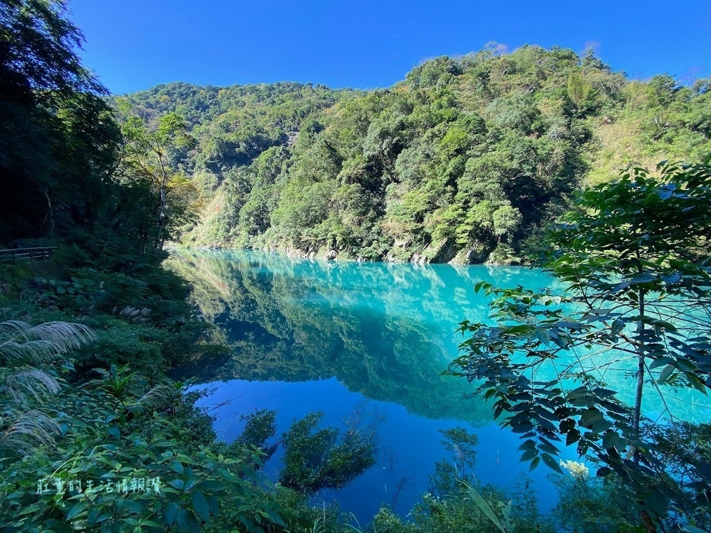 烏來景點推薦 內洞森林遊樂園區 (12).jpg