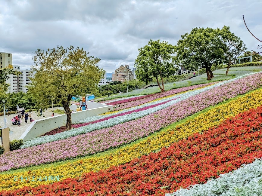 【新北投景點2024】北投社三層崎公園花海展, 北投地熱谷,