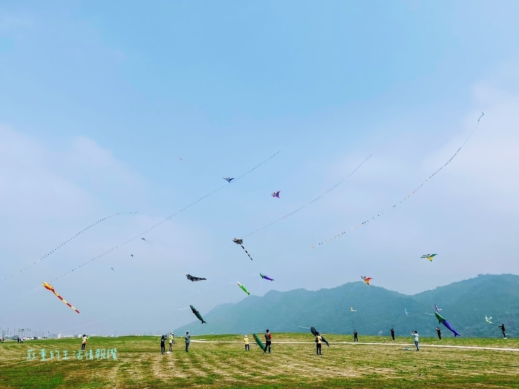 中庄調整池景觀土丘放風箏  桃園 (2).jpg