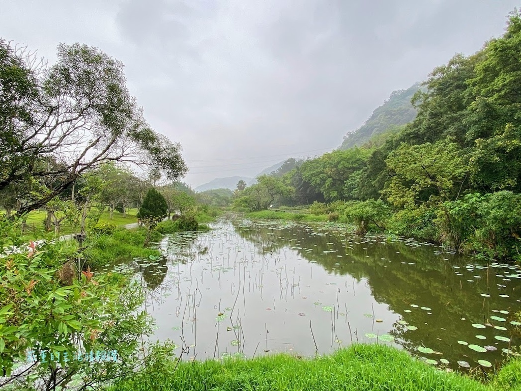 山豬湖生態親水園區  桃園 (4).jpg