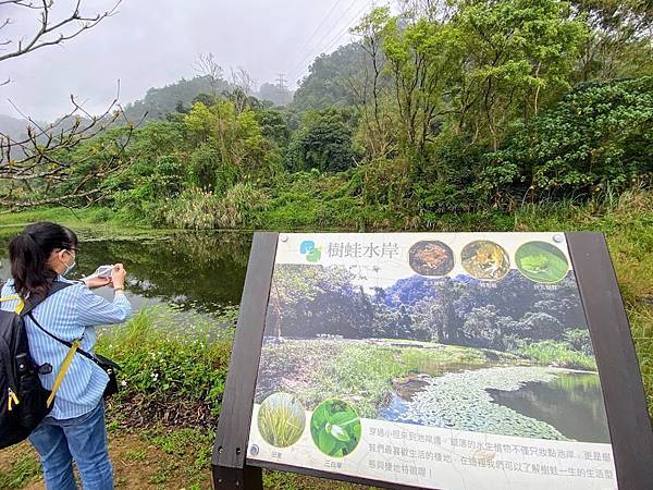 山豬湖生態親水園區  桃園 (9).jpg