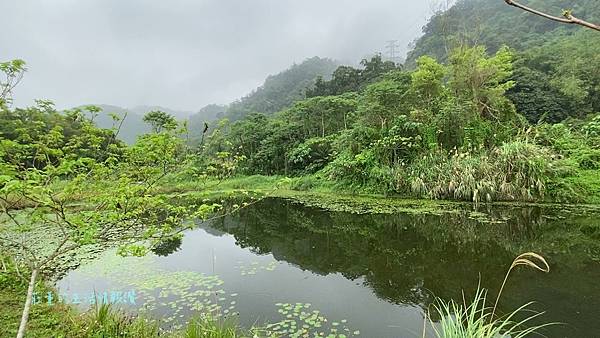 山豬湖生態親水園區  桃園 (11).jpg