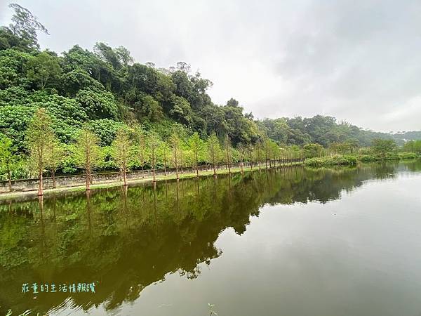 桃園大溪月眉人工濕地 生態公園 (6).jpg