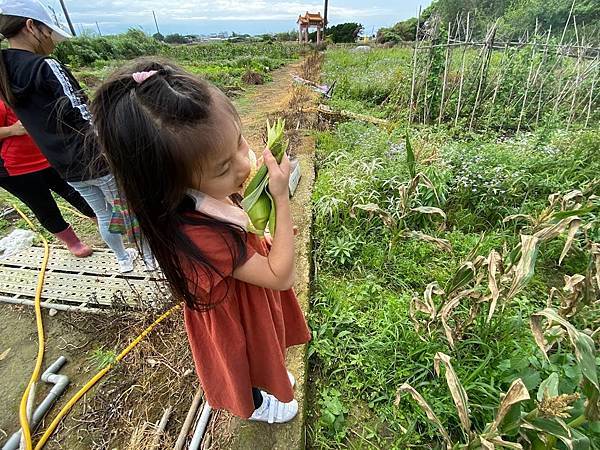 一級棒農場 (18).jpg