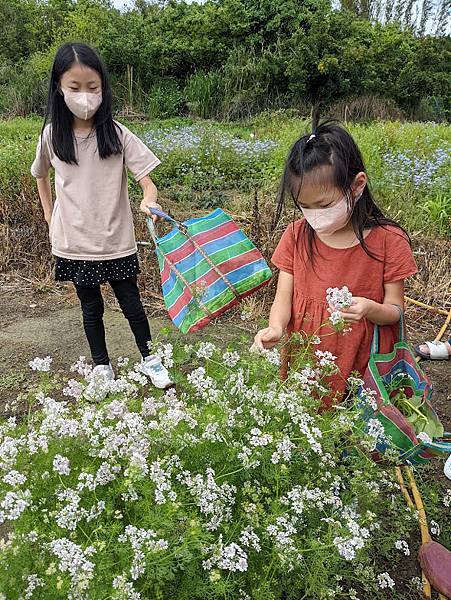 一級棒農場 (桃園有機農場  親子遊 (25).jpg