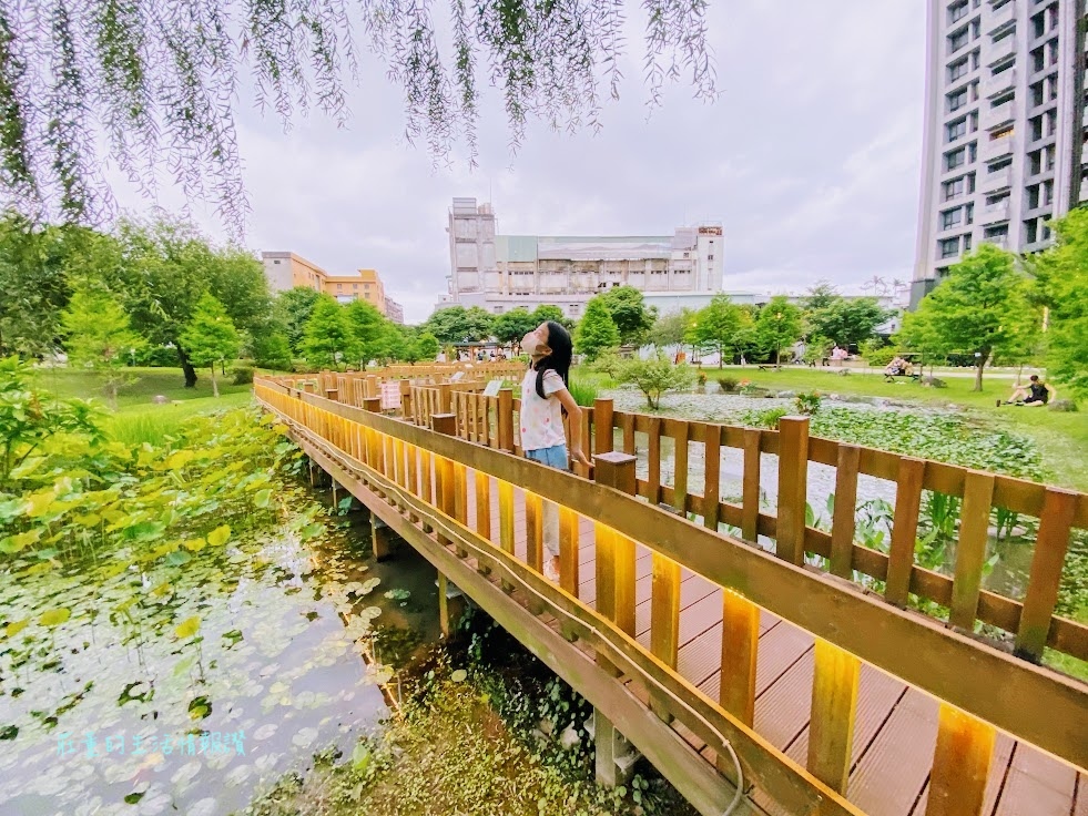 新莊頭前公園 生態池