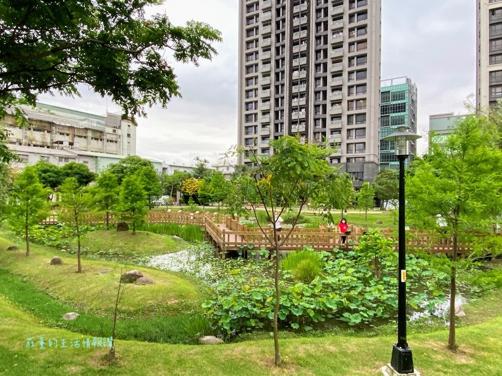 新莊頭前運動公園親子遊 (6).jpg