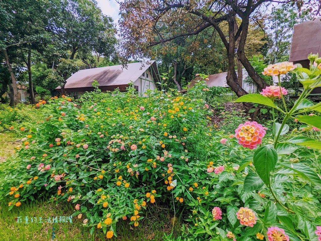 清水那方  彰化豪華露營 親子遊 (105).jpg