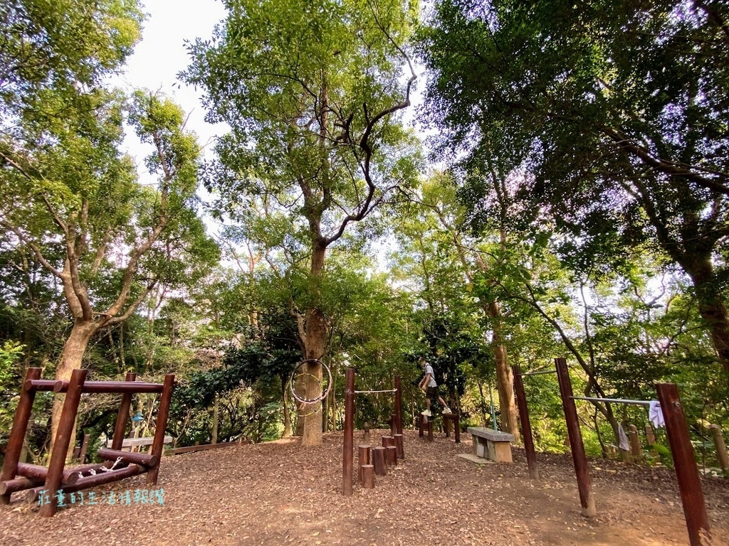 【自強公園】饅頭山健行趣~充滿森林氣息的城市微登山體驗 (新