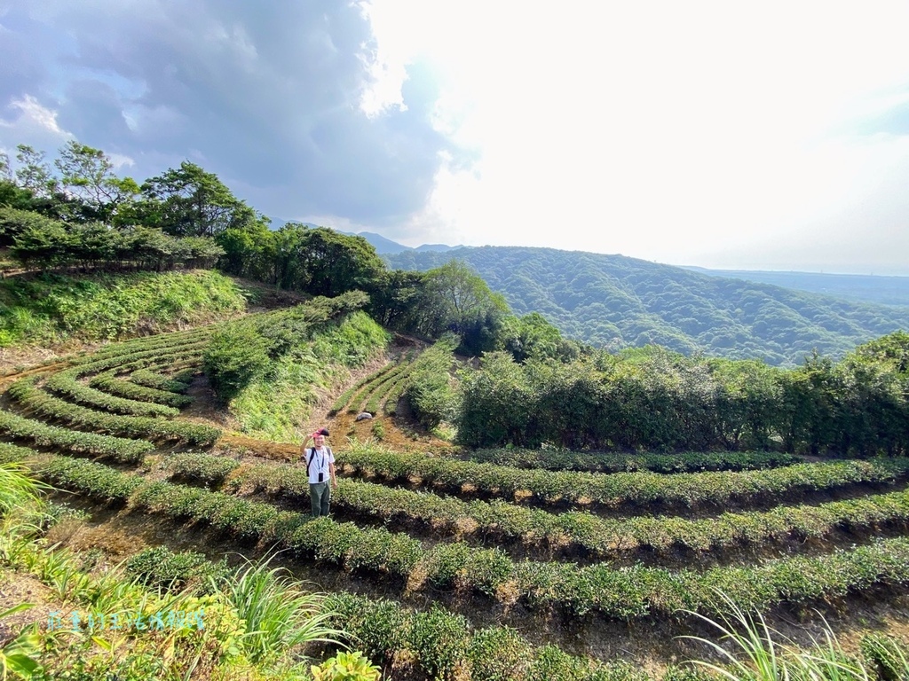 石門秘境 茶山步道8.jpeg