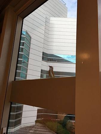 IMG_1681.JPG IMG_1681.JPG