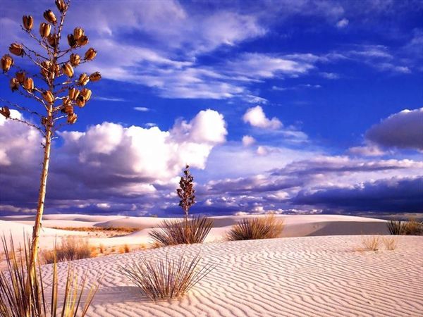 desert-landscape-wallpaper.jpg