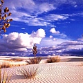 desert-landscape-wallpaper.jpg