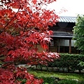 SJShih_201111_Kyoto_0363.JPG