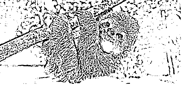 Design (1).png 著色圖 線條圖 失敗範例