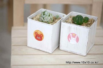 植物.jpg 植物.jpg