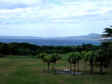 DSCF9013.JPG DSCF9013.JPG