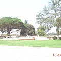 Campus in UCLA