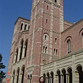Rebecca&#039;s in UCLA